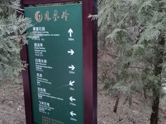 -北京凤凰岭