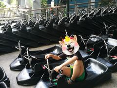 -圣淘沙天际线斜坡滑车