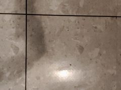 -大商麦凯乐(大连总店)