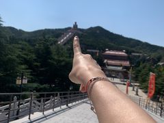 -龙口南山旅游景区