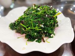 炒苋菜-清真·安乐园菜馆(茶南店)