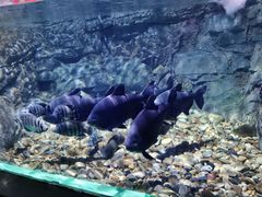 -常州海昌海洋探索馆