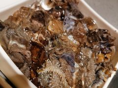 -海底捞火锅(海宁路店)