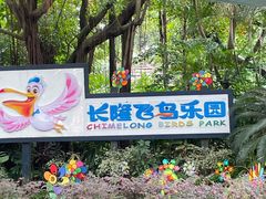 -广州长隆飞鸟乐园