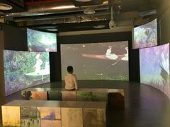 -印象莫奈时光映迹艺术展