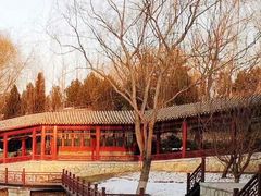 -北坞公园