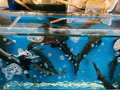 -华盛丰温州大排档(东三环南路店)