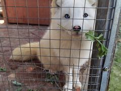 -武汉紫薇都市田园