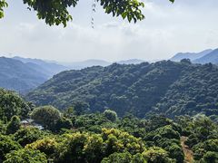 -广州市石门国家森林公园