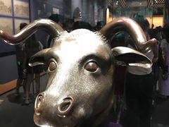 -广西壮族自治区博物馆