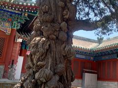 -北京国子监胡同