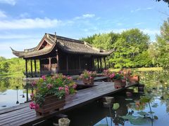 -西溪国家湿地公园