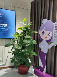 -广州美莱医疗美容医院