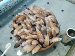 -南沙十九涌渔人码头-南门