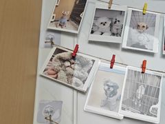 -瑞派康怡24h宠物医院·犬猫医疗中心·微创绝育(瑞景分院)