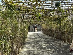 -白鹿原影视城