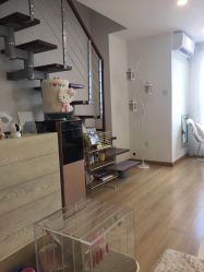 -Yukina Plus专业日式美肌