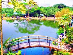 -青青世界