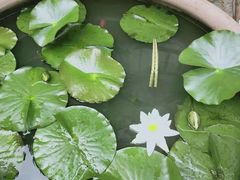 -余味私房菜(正阳小区西5街区店)