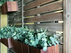 -前海沿·青岛菜(大拇指广场石老人店)