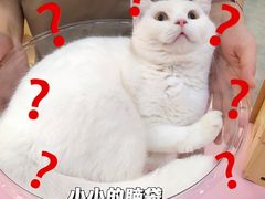 -爪爪喵星球·猫舍(前海卓越店)