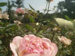 -人民公园(罗湖区)