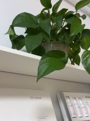 -Dr·Jane皮肤管理中心