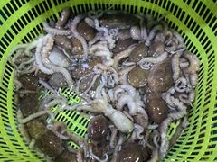 -张树军海鲜(王府壹号店)