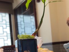 -山水茶艺馆·点心粤菜·30年老字号