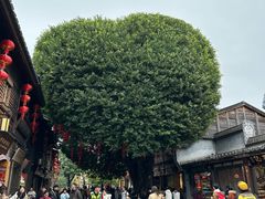 -三坊七巷历史文化街区