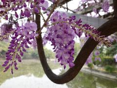 -西南交通大学(九里校区)