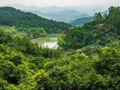 -广州白江湖森林公园