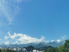 米酒汤圆蒸南瓜-桃花岭饭店桂香楼