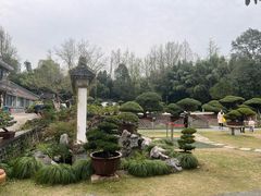 -水绘园