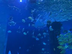 -波塞冬旅游度假区