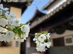-无锡梅园公园