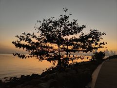 -深圳湾公园(南山区)