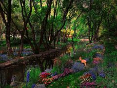 -上海共青森林公园