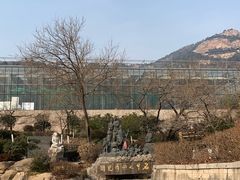 -石老人观光园