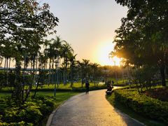 -宝安西湾红树林湿地公园