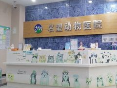 -瑞派名望24h动物医院异宠专科·猫专科·骨科·重症监护分院
