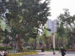 -北湖公园