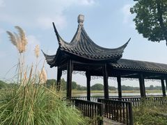 -梁鸿国家湿地公园