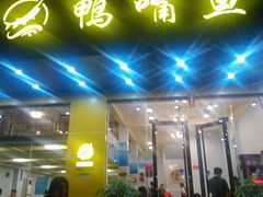-鸭嘴鱼