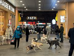 -开元商城(西旺店)