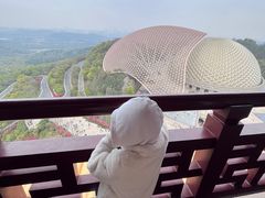 -牛首山文化旅游区