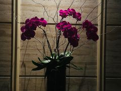 -炳胜公馆(珠江新城店)
