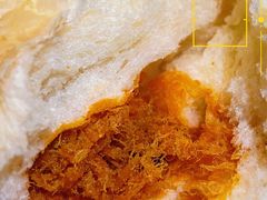 -心乐生活新鲜屋(星海广场店)