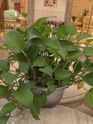 -北京俪婴妇产医院(朝阳大悦城店)