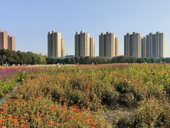 -映月湖中央公园